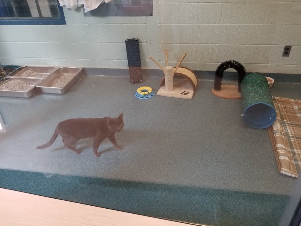 Kitchener Waterloo Humane Society | 250 Riverbend Dr, Kitchener, ON N2B 2E9, Canada | Phone: (519) 745-5615