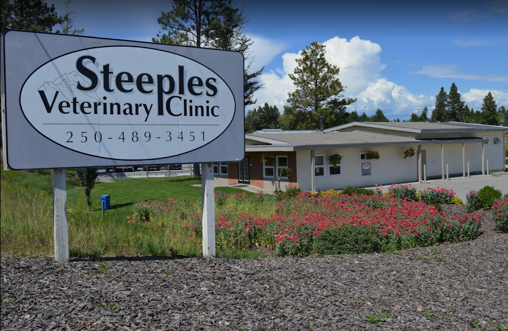 Steeples Veterinary Clinic | 3410 Victor Rd, Cranbrook, BC V1C 7B7, Canada | Phone: (250) 489-3451