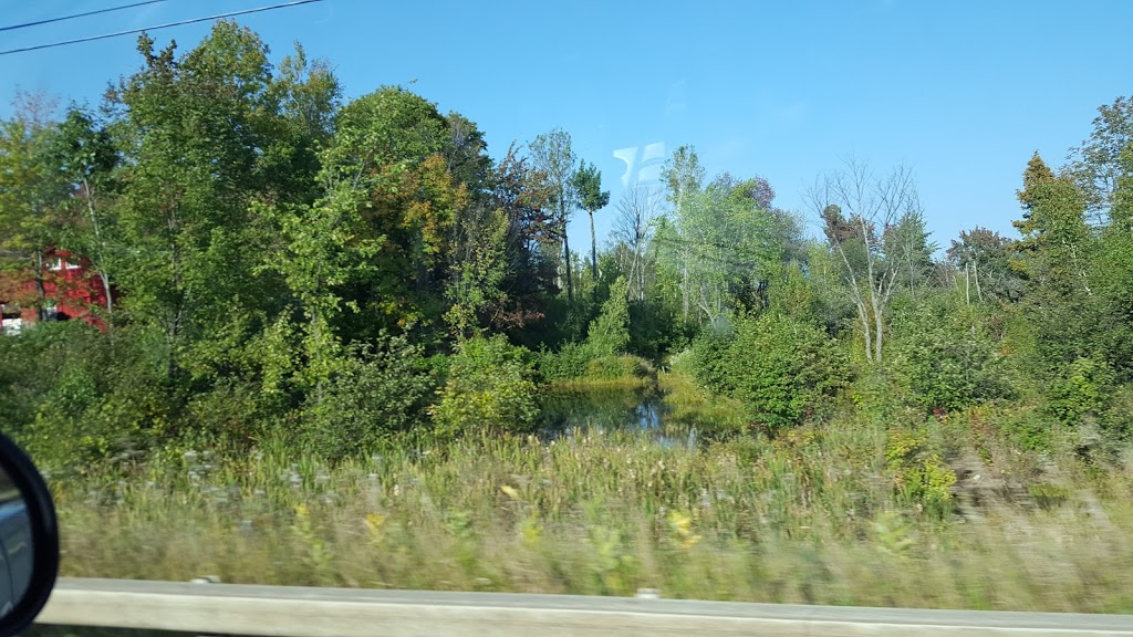 Miner Lake State Park | Altona, NY 12910, USA