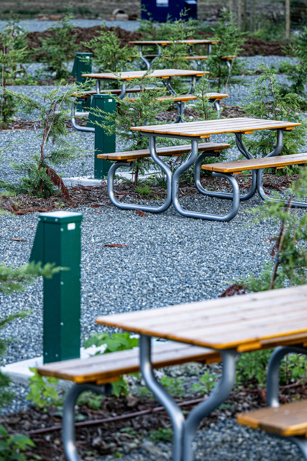 Ellies Farm and RV Sites | 1388 Ellenor Rd, Comox, BC V9M 0B4, Canada | Phone: (778) 431-0399