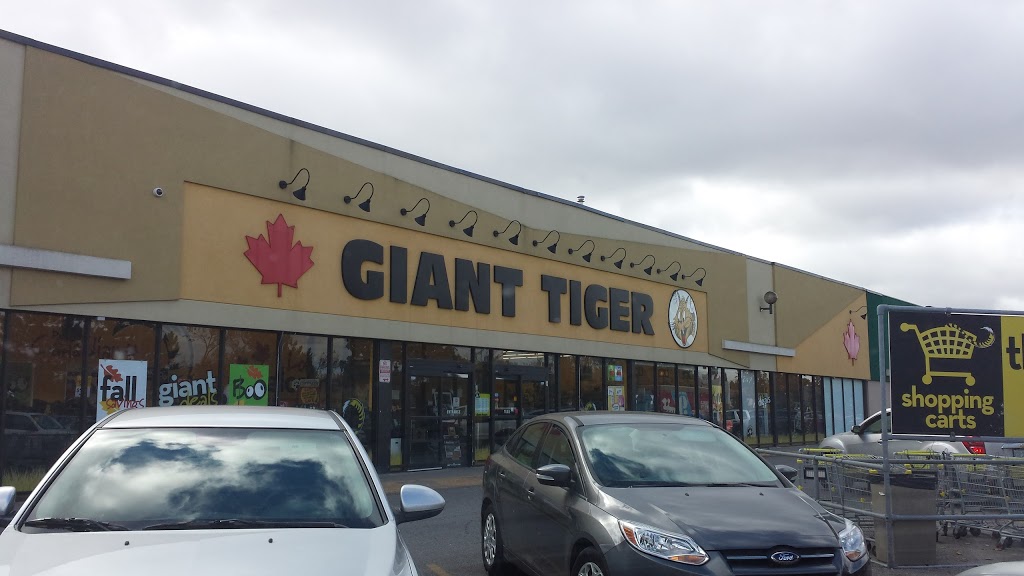 Giant Tiger | 1251 Huron St, London, ON N5Y 4V1, Canada | Phone: (519) 951-0073
