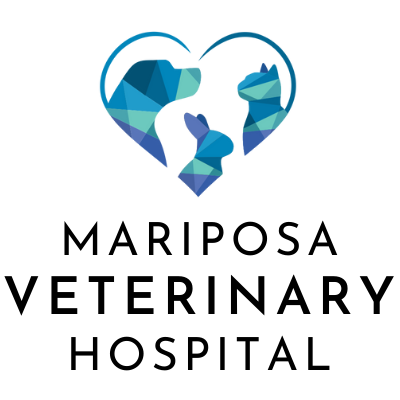 Mariposa Veterinary Hospital | 90 Front St S, Orillia, ON L3V 4S4, Canada | Phone: (705) 327-5311