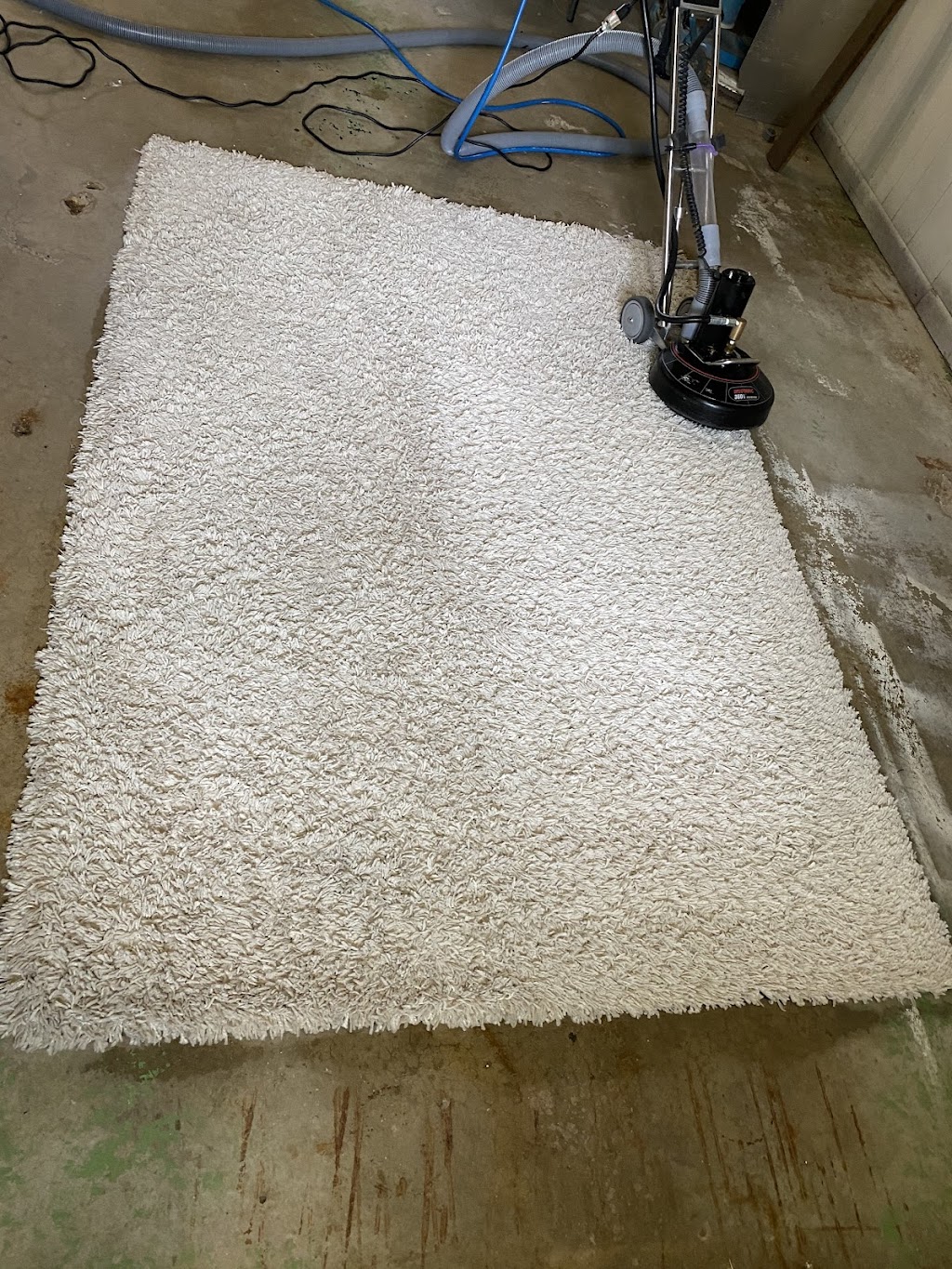 Rhino Carpet Cleaning | 551 Wilson St, Steinbach, MB R5G 0J5, Canada | Phone: (204) 381-0266
