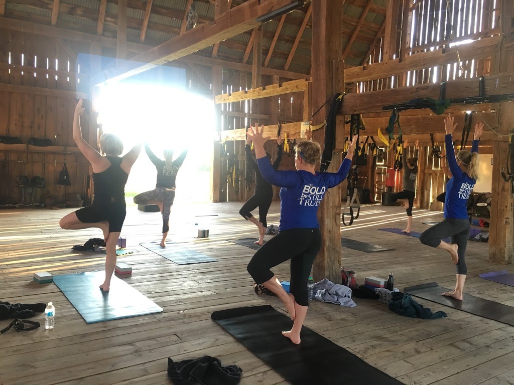 CUSTOM FIT VITALITY | 188 Langford Dr, Warkworth, ON K0K 3K0, Canada | Phone: (705) 761-9944