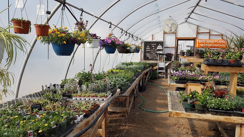 Broderick Garden Centre | 420 Saskatchewan Ave E, Outlook, SK S0L 2N0, Canada | Phone: (306) 867-8999