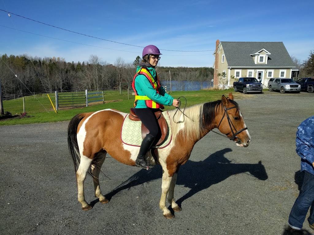 Legacy Equestrian Ctr | 166 George Whynot Rd, New Germany, NS B0R 1E0, Canada | Phone: (902) 644-2555
