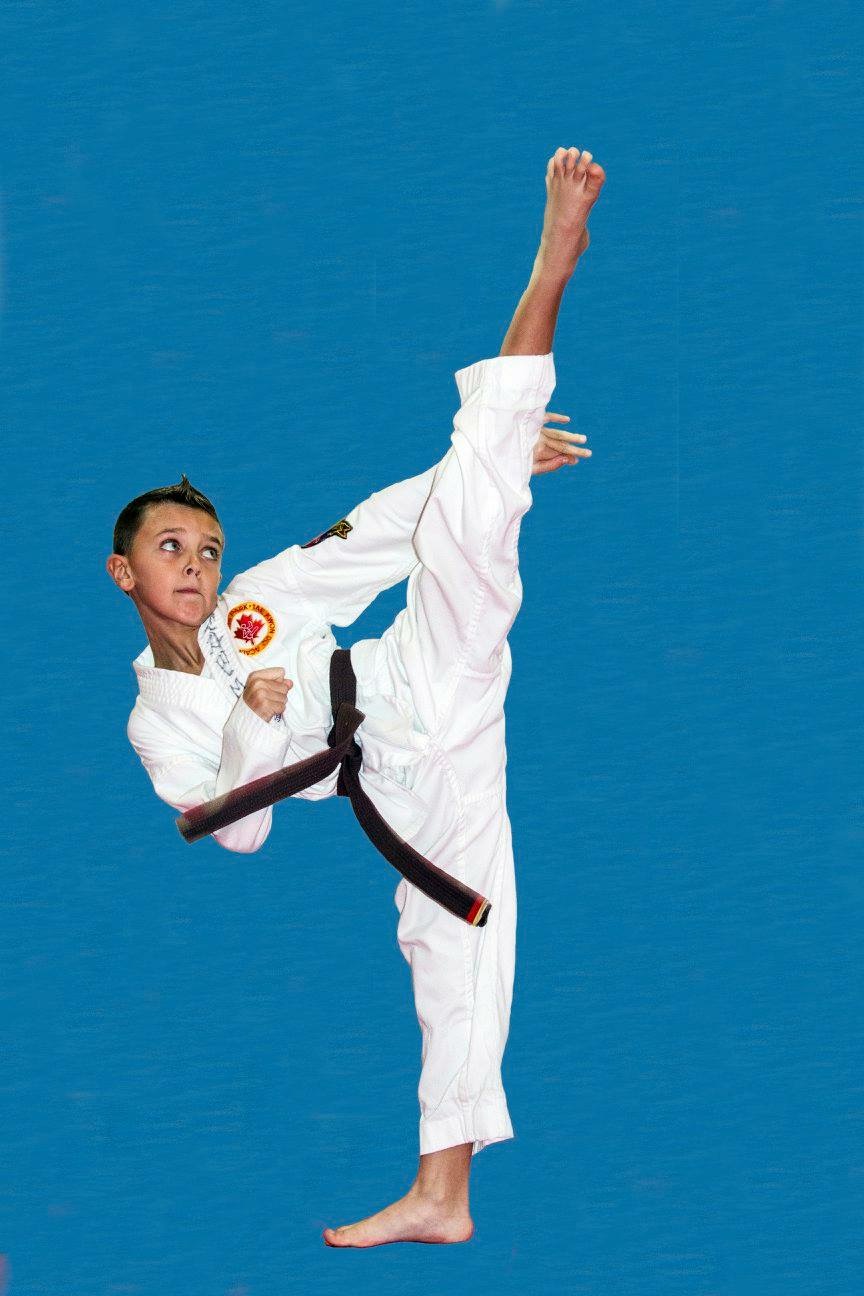 Young Park Martial Arts | 1004 Upper Wentworth St, Hamilton, ON L9A 4V9, Canada | Phone: (905) 387-5425