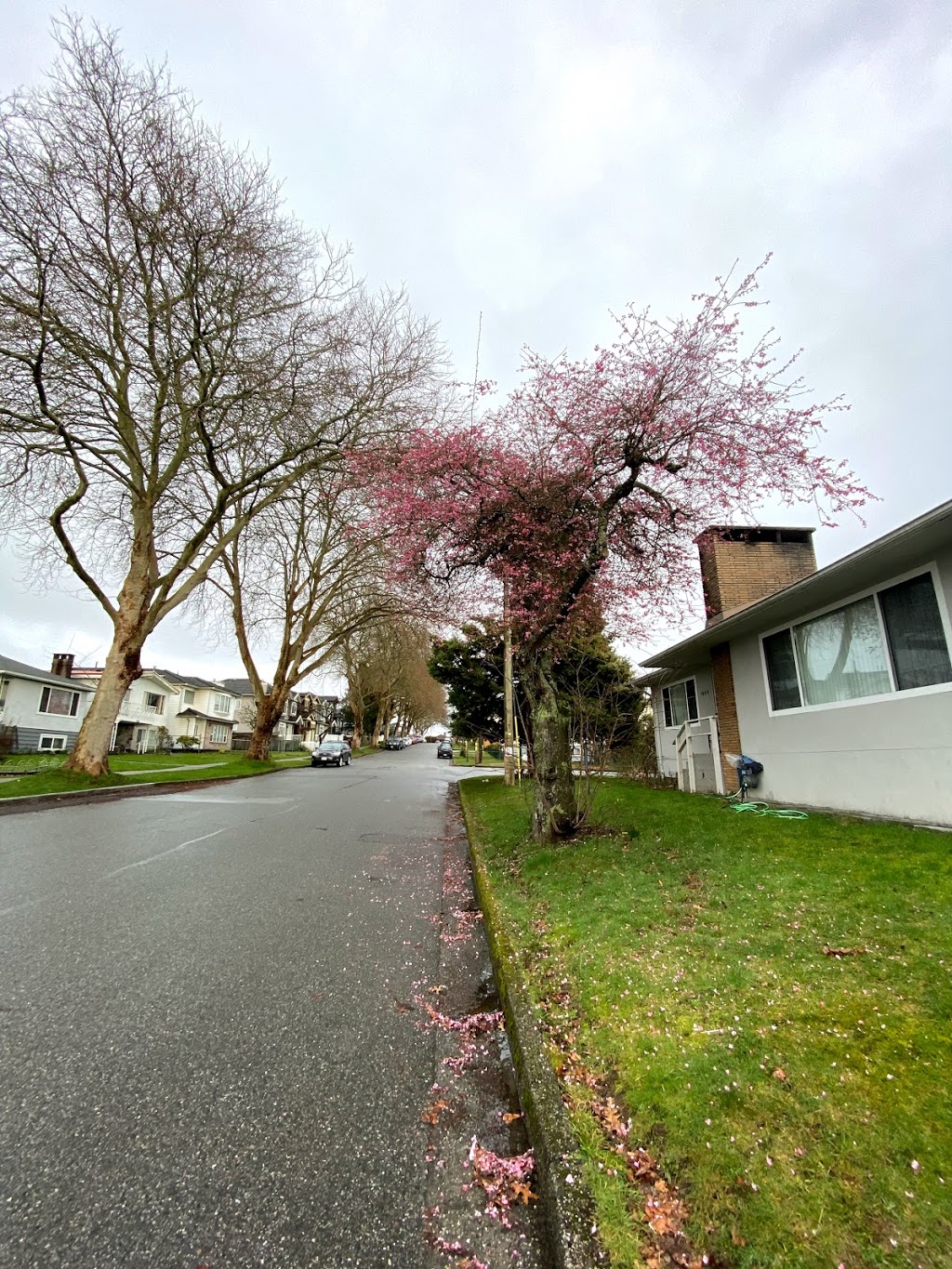 Gordon Park | 6675 Commercial St, Vancouver, BC V5P 3P5, Canada | Phone: (604) 873-7000
