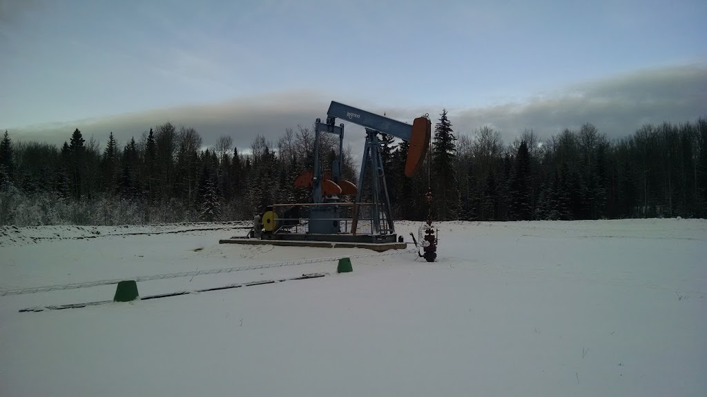 Vulture Energy Ltd. | 133 Springbank Pl SW, Calgary, AB T3H 3S5, Canada | Phone: (403) 669-1621