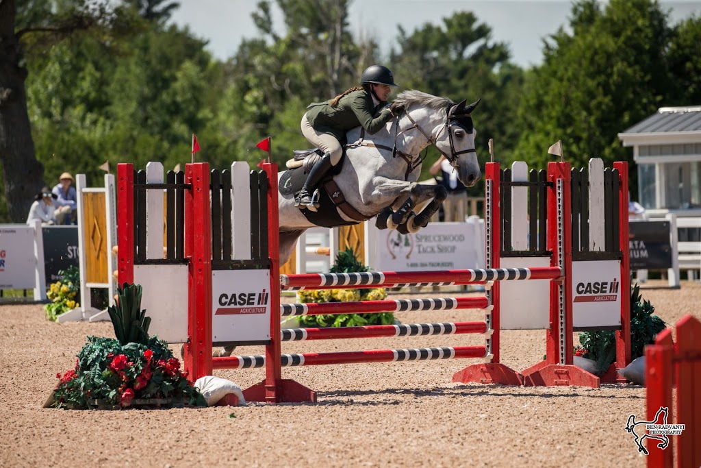 Crailin Stables | 14722 Heart Lake Rd, Inglewood, ON L7C 2J7, Canada | Phone: (519) 375-2337