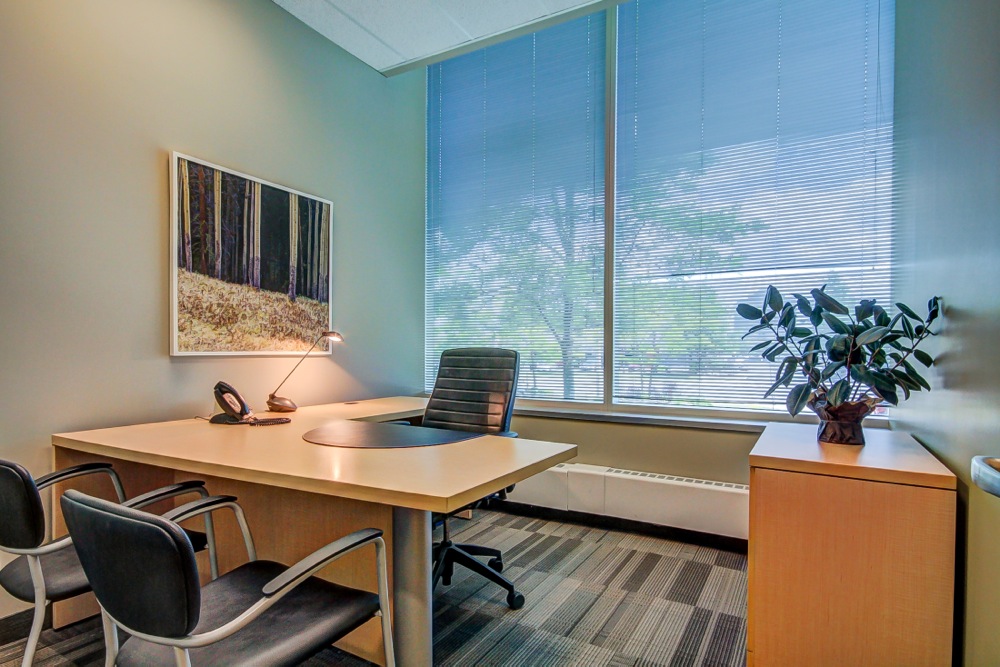 Geeks Onsite - Canada | 122 Garyscholl Rd, Vaughan, ON L4H 3R7, Canada | Phone: (647) 281-2535