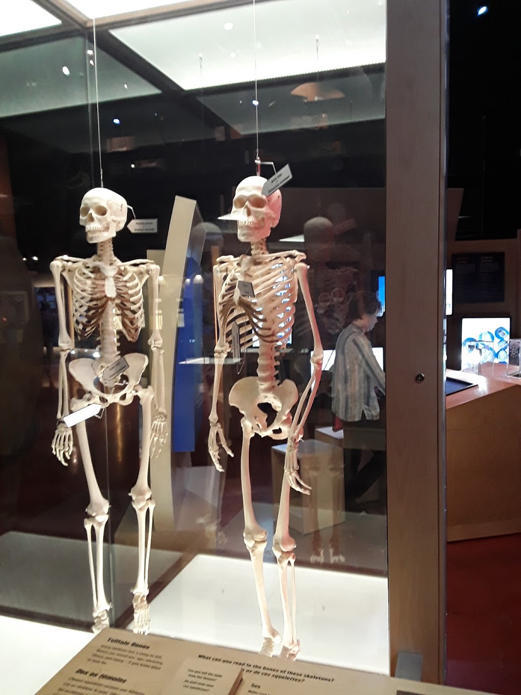 Ontario Science Centre | 770 Don Mills Rd, North York, ON M3C 1T3, Canada | Phone: (416) 696-1000