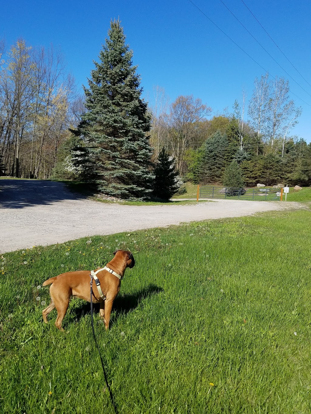 Brockway Township Community Park | 7742 Sayles Rd, Yale, MI 48097, USA | Phone: (810) 387-3375