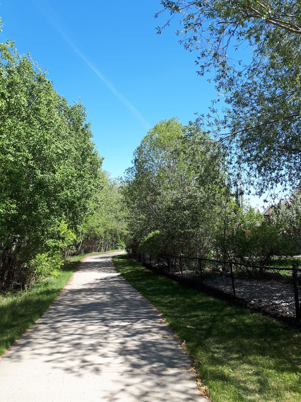 Big Bear Park | 1312 109 St NW, Edmonton, AB T6J 5X9, Canada