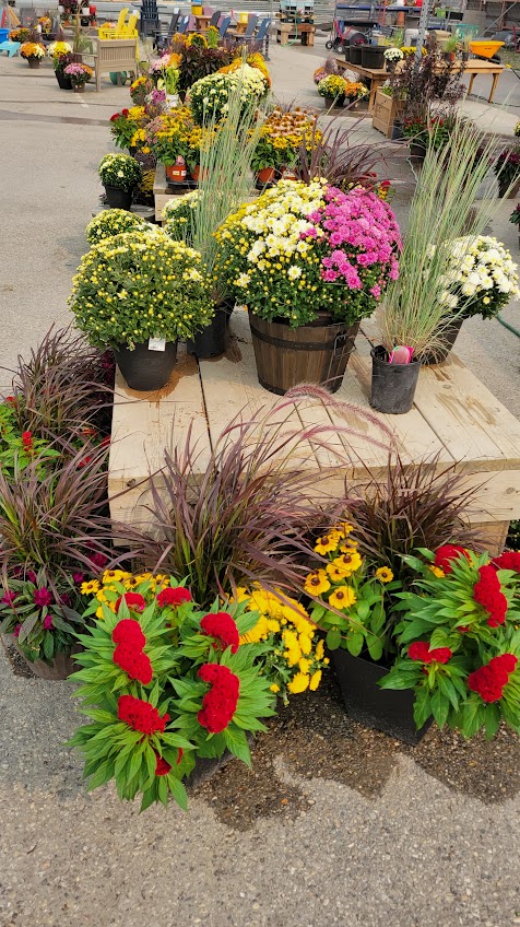 Invermere Home Hardware Building Centre | 9980 Arrow Rd, Invermere, BC V0A 1K0, Canada | Phone: (250) 342-6908