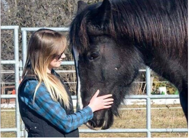 Harmony with Horses | 31361 Shackleton Line, Iona Station, ON N0L 1P0, Canada | Phone: (289) 383-3114