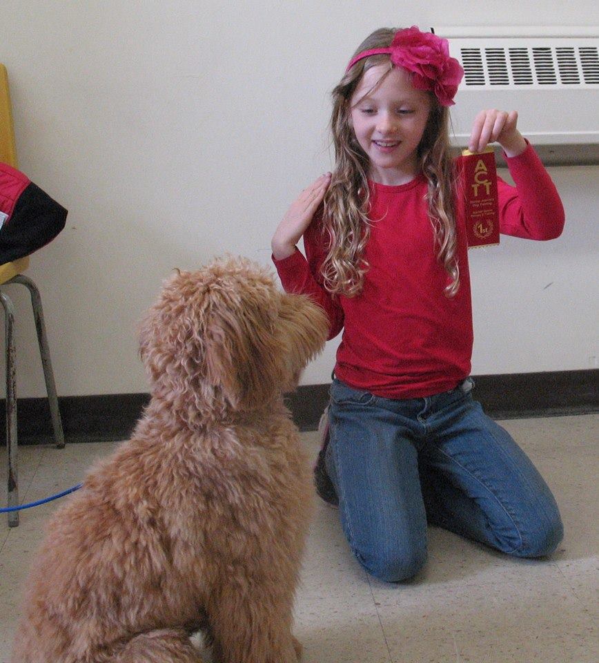 Canine Correspondence Studies with Norma Jeanne | 884 Centre Line Rd, Marmora, ON K0K 2M0, Canada | Phone: (705) 917-3647
