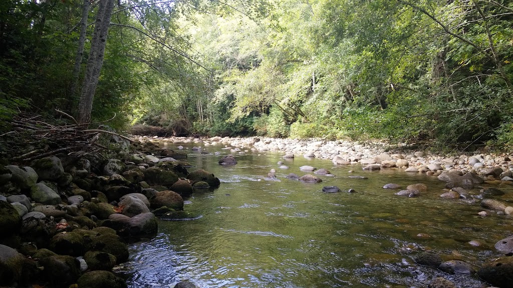Chapman Creek Hatchery | 4381 Parkway Dr, Sechelt, BC V0N 3A1, Canada | Phone: (604) 885-4136