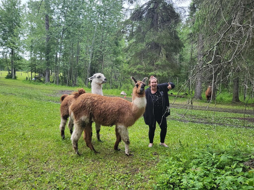 Secret Sanctuary Retreat | 463049, Range Road 22, Westerose, AB T0C 2V0, Canada | Phone: (519) 330-8477