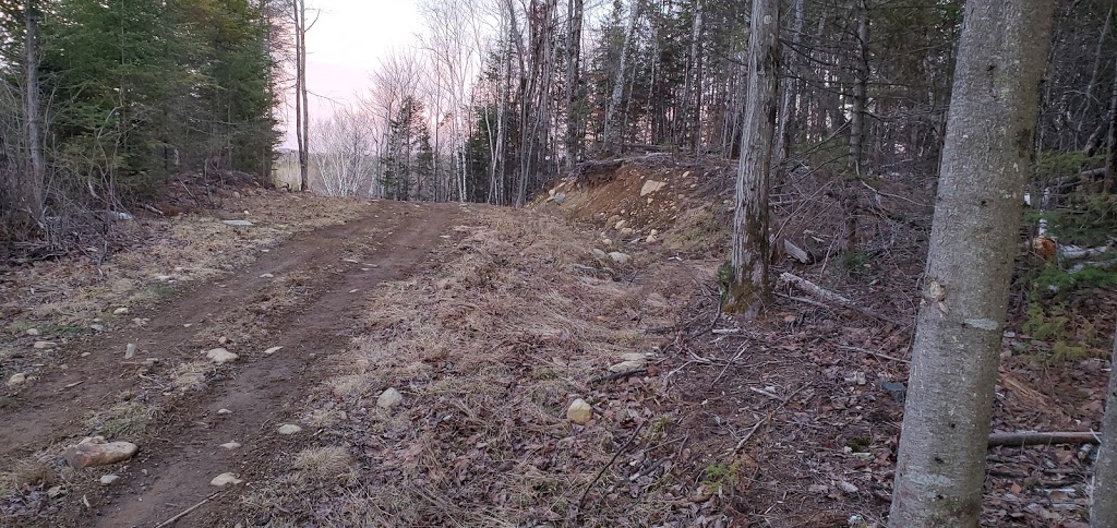 Sentier de quads et motoneiges | 1re Avenue Sainte-Catherine, Saint-Jean-de-Matha, QC J0K 2S0, Canada | Phone: (438) 499-4419