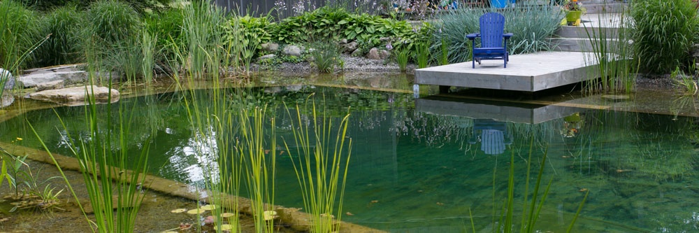 Passion Pool & Pond | 4160 15 Line RR 7, St. Marys, ON N4X 1C9, Canada | Phone: (519) 949-0774