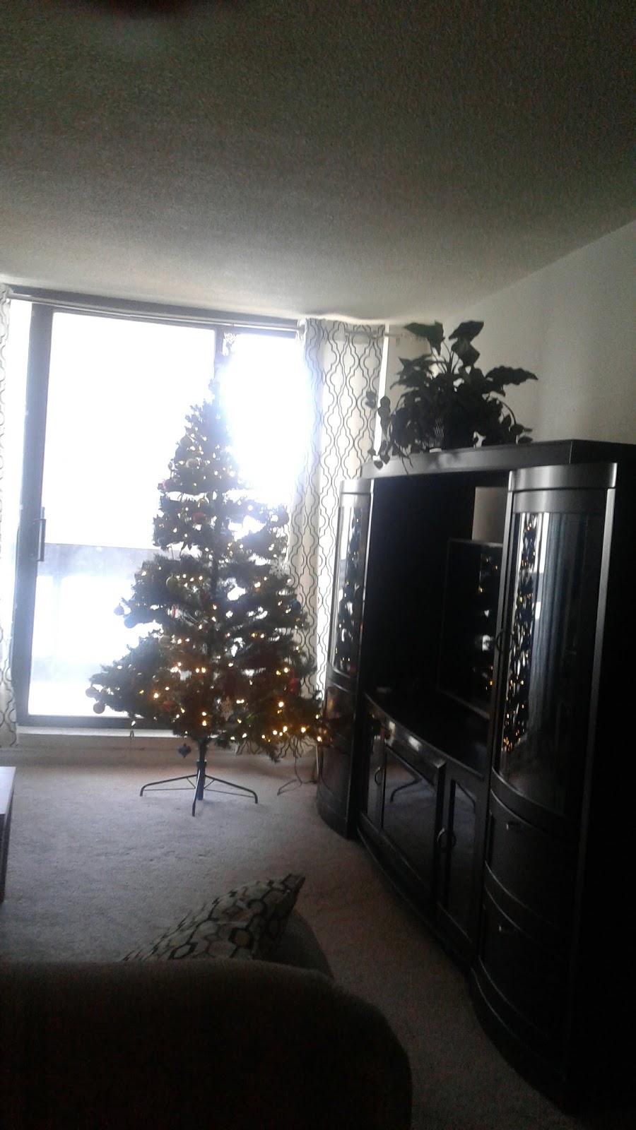 Shaw Towers | 17 Knightsbridge Rd, Brampton, ON L6T 3X9, Canada | Phone: (905) 791-1448