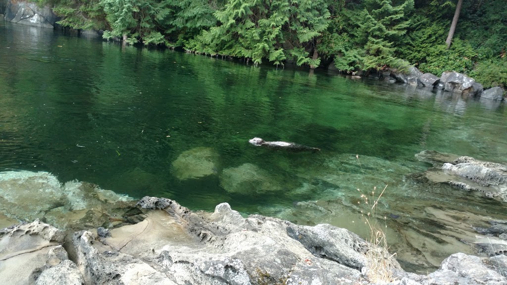 Joan Point Park | 1060 Phoenix Way, Nanaimo, BC V9X 1N2, Canada | Phone: (250) 390-4111