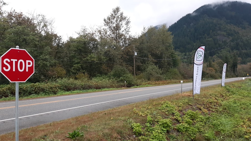 Indigenous Bloom | Hope | 12450 Lougheed Hwy, Hope, BC V0X 1L0, Canada | Phone: (778) 601-3070