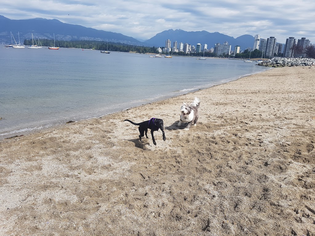 Hadden Park Dog Beach | 1000 Chestnut St, Vancouver, BC V6J 3J9, Canada