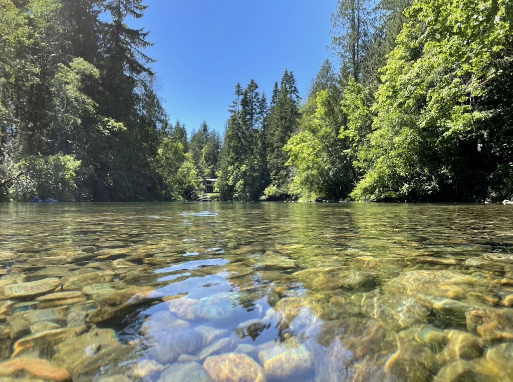 Cowichan River Tubing -Cowabunga Tubes | 53 N Shore Dr, Lake Cowichan, BC V0R 2G0, Canada | Phone: (250) 510-7433
