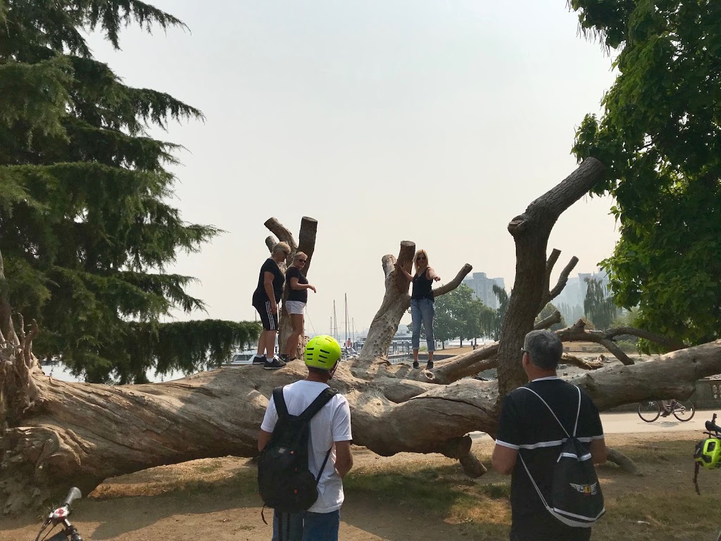 Bees Knees eBike & Ski Rentals | 1315 Burrard St, Vancouver, BC V6Z 1Z7, Canada | Phone: (604) 262-8852