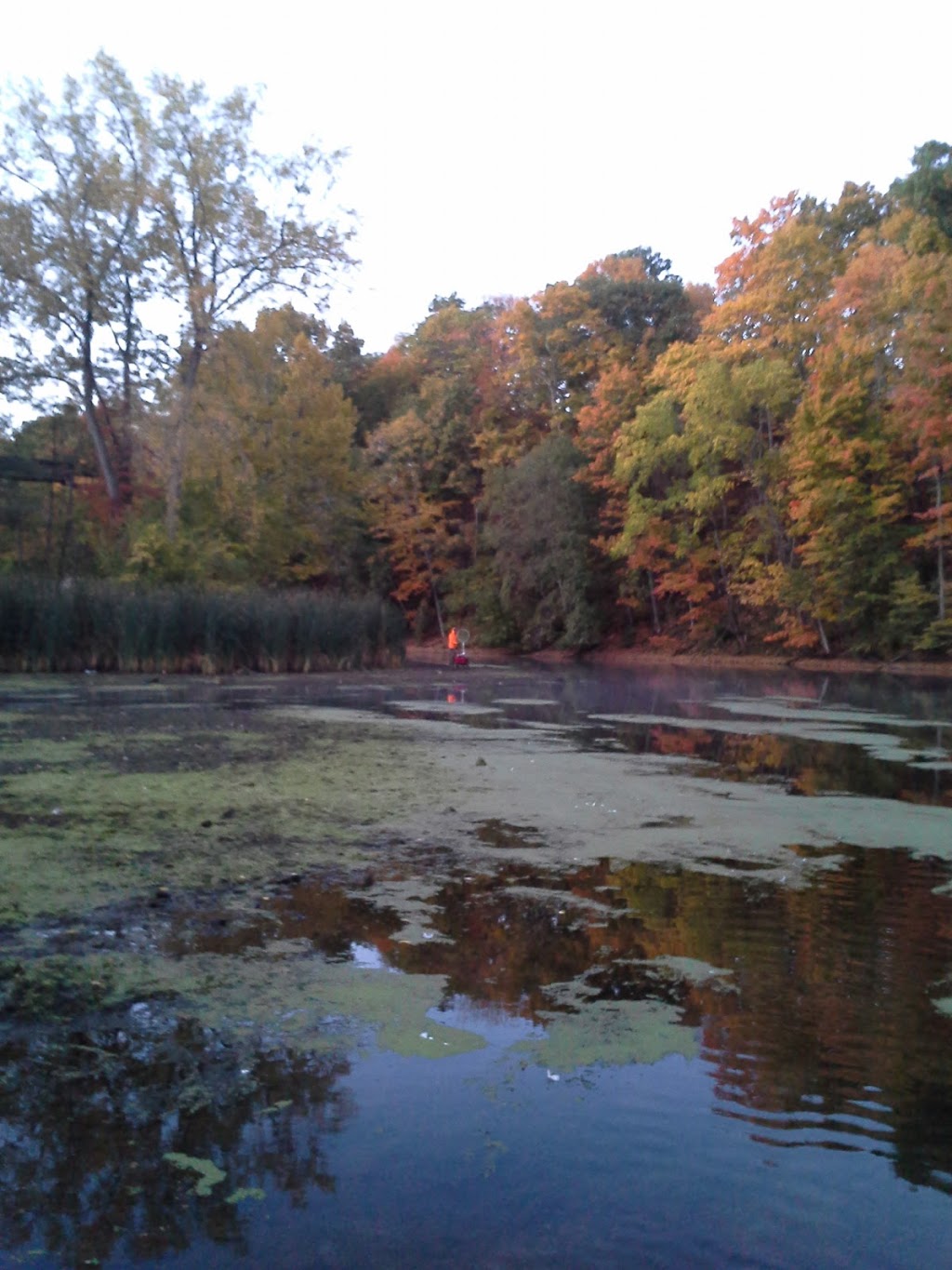 Burt Dam and Fishermans Park | Old Wilson Burt Rd, Burt, NY 14028, USA | Phone: (800) 456-2267