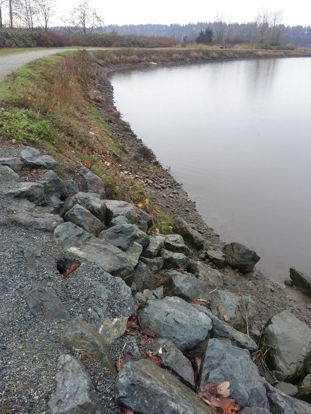 Serpentine Fen Observation Deck | 44 Ave, Surrey, BC V3S 0L2, Canada