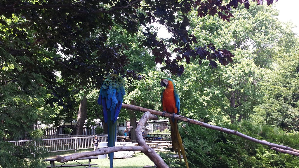 Bowmanville Zoo | 340 King St E, Bowmanville, ON L1C 3K5, Canada | Phone: (905) 623-0957