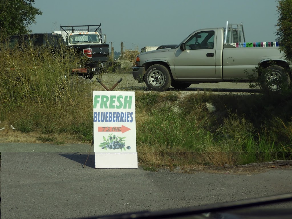 Blueberry Farm | 15211 72 Ave, Surrey, BC V3S 2G4, Canada | Phone: (778) 536-5951