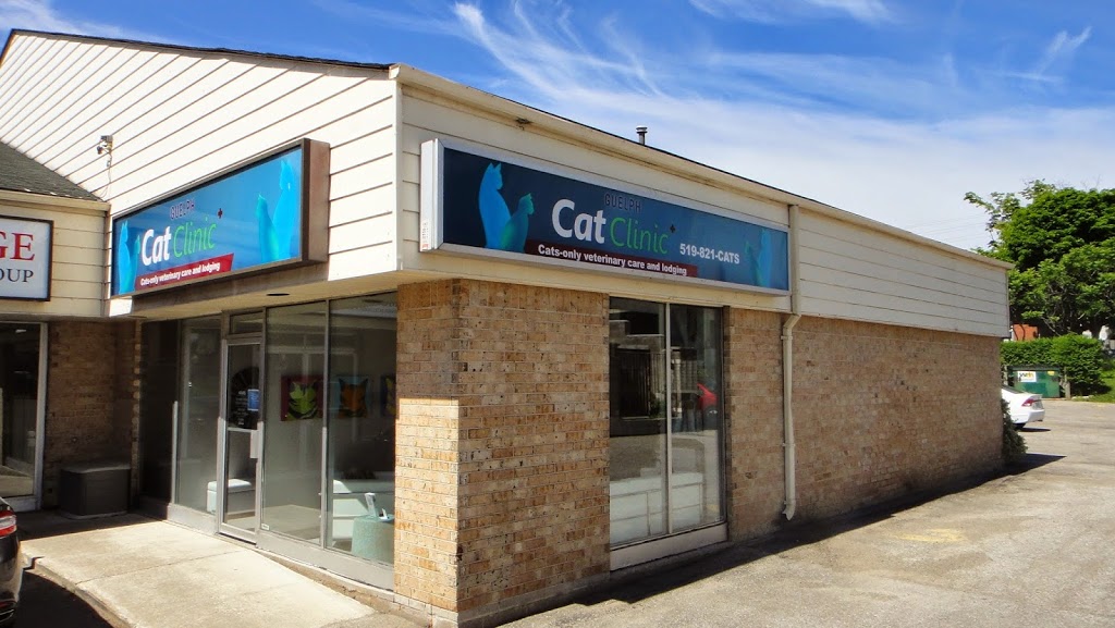 Guelph Cat Clinic | 15 Surrey St W #4, Guelph, ON N1H 3R3, Canada | Phone: (519) 821-2287