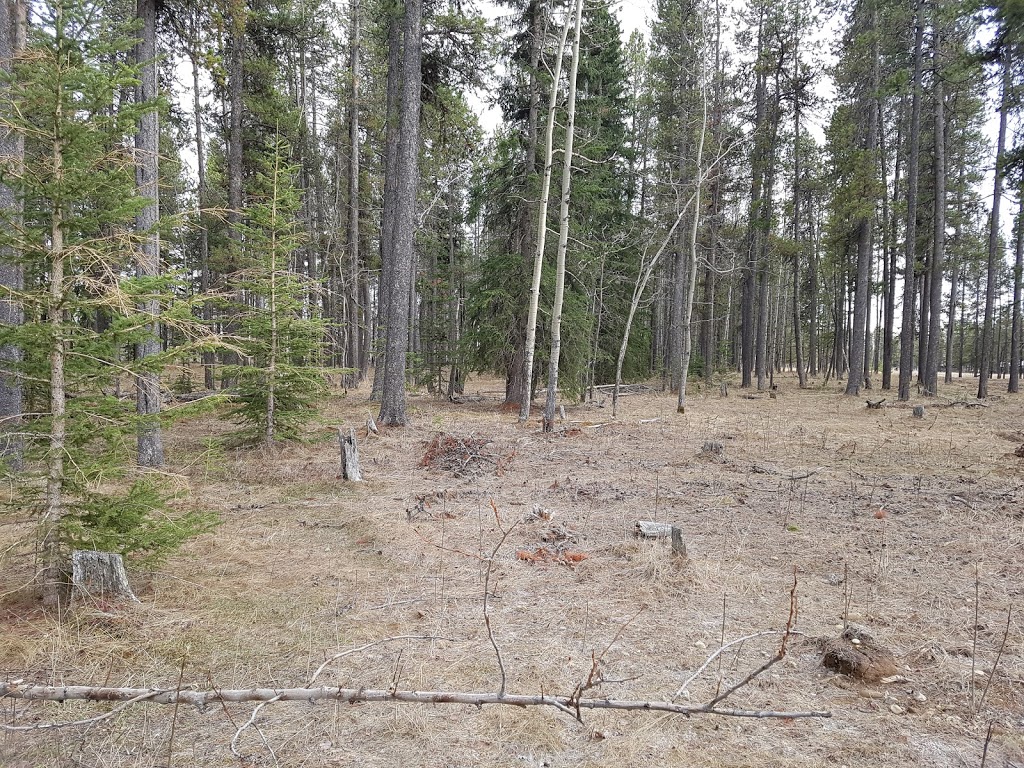 Camp Winchell Coulee | Mountain View County, AB T0L, Canada