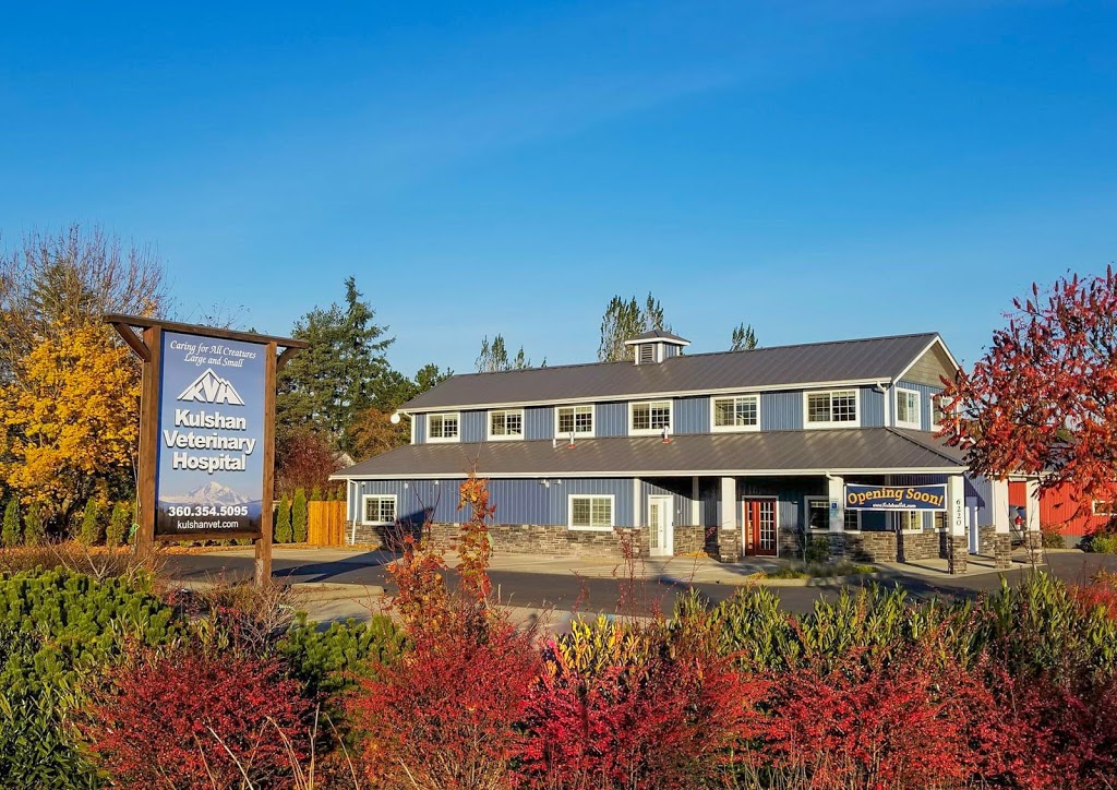 Kulshan Veterinary Hospital | 6220 Portal Way, Ferndale, WA 98248, USA | Phone: (360) 354-5095