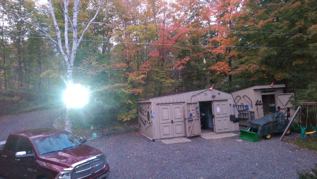 Loon Studios | McKellar Lake Rd, McKellar, ON P0G 1C0, Canada | Phone: (705) 389-2489