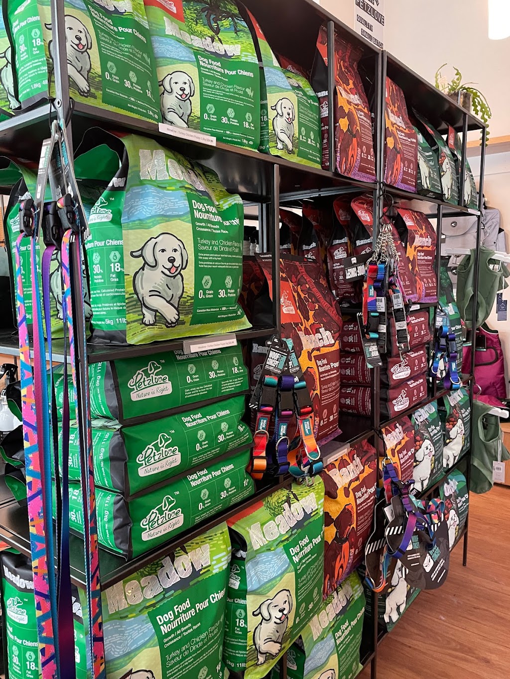 East Coast Dog | 3180 Isleville St, Halifax, NS B3K 3Y3, Canada | Phone: (902) 200-8332