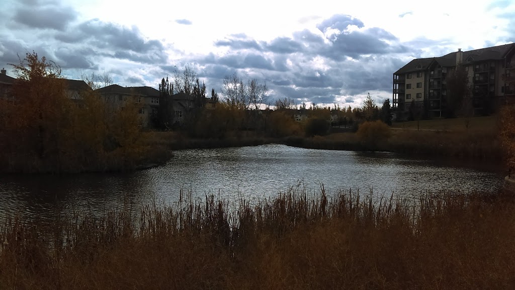 Hodgson Park | 503 Hodgson Rd NW, Edmonton, AB T6R 3G6, Canada