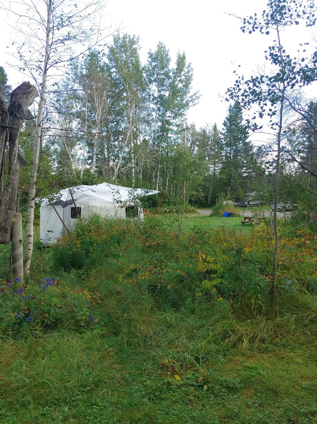 Auberge Ile du Repos | 105 Chem. de lÎle du Repos, Péribonka, QC G0W 2G0, Canada | Phone: (418) 347-5649
