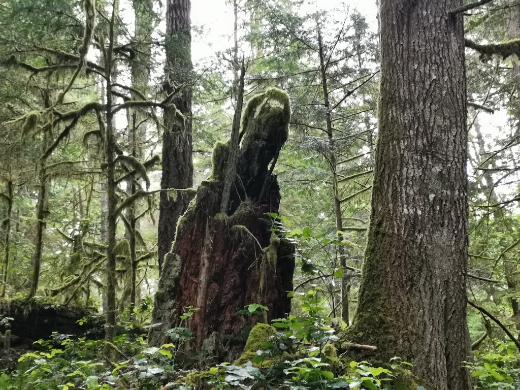 Homesite Creek / Secret Cove Recreation Area | 9844 Sunshine Coast Hwy, Halfmoon Bay, BC V0N 1Y2, Canada | Phone: (604) 883-9307