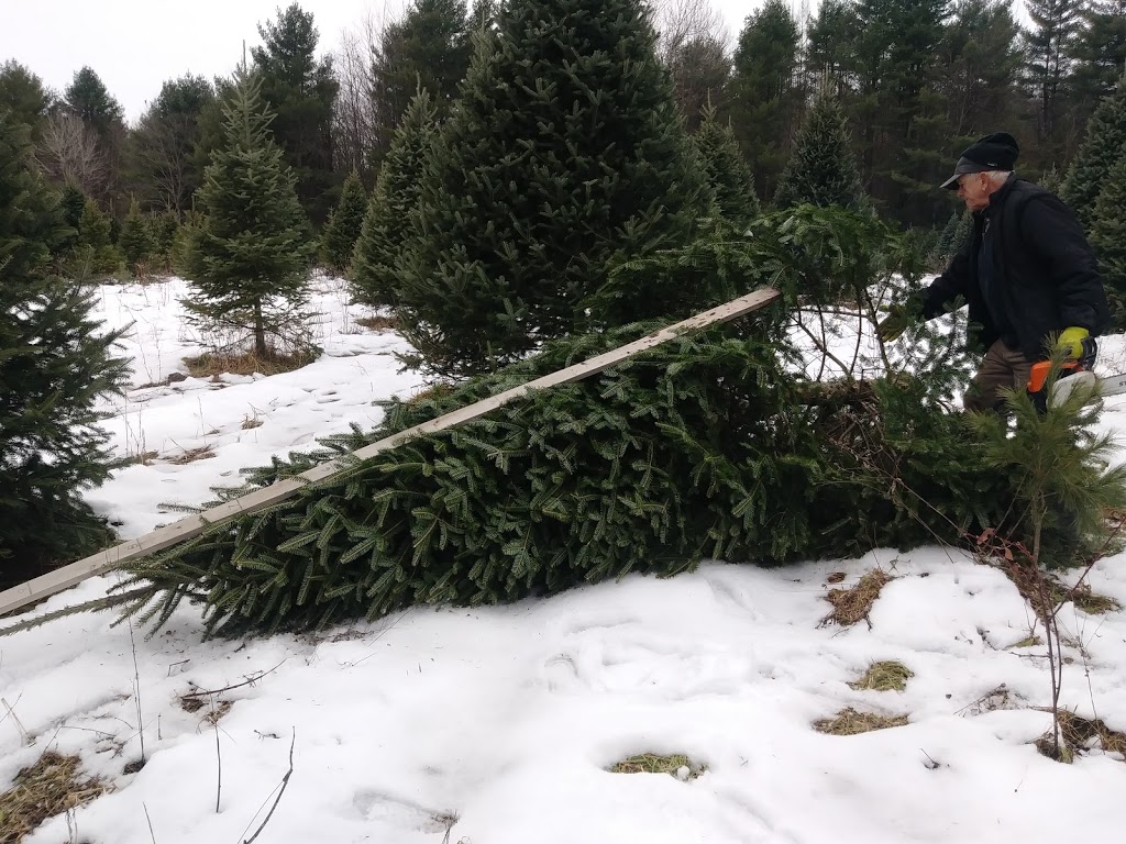 Plantation des Frontières | 295 Chemin des Érables, Saint-Armand, QC J0J 1T0, Canada | Phone: (450) 248-3575