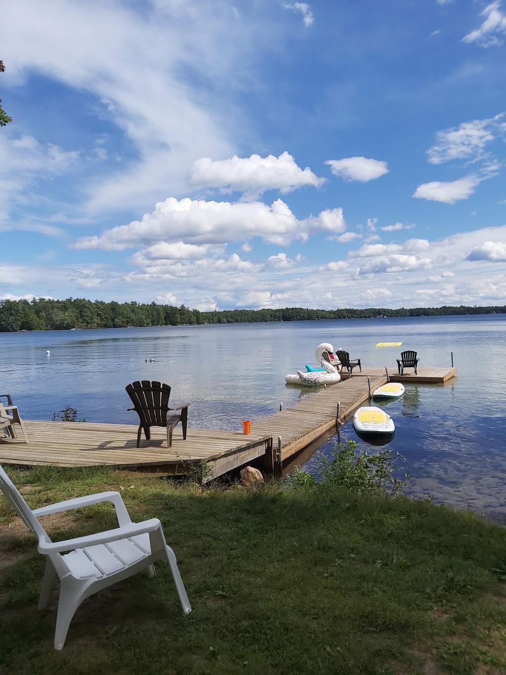 Muskoka Beer Spa | 1006 Clear Lake Rd, Torrance, ON P0C 1M0, Canada | Phone: (705) 571-1814
