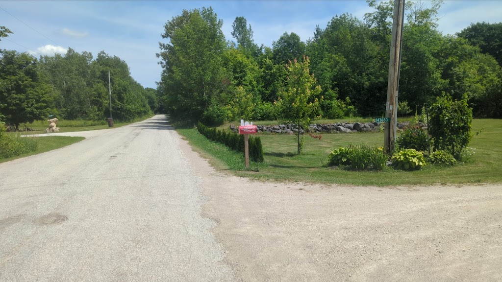 The Critter Guy Wildlife Removal | 143680, Side Rd 15, Owen Sound, ON N4K 5W4, Canada | Phone: (519) 783-1575