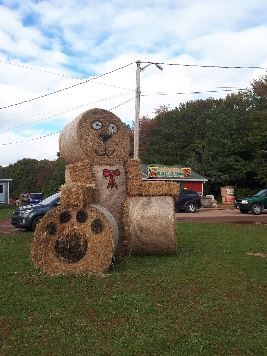 Comptons Vegetable Stand | 268 All Weather Hwy, Summerside, PE C1N 4V4, Canada | Phone: (902) 315-2751
