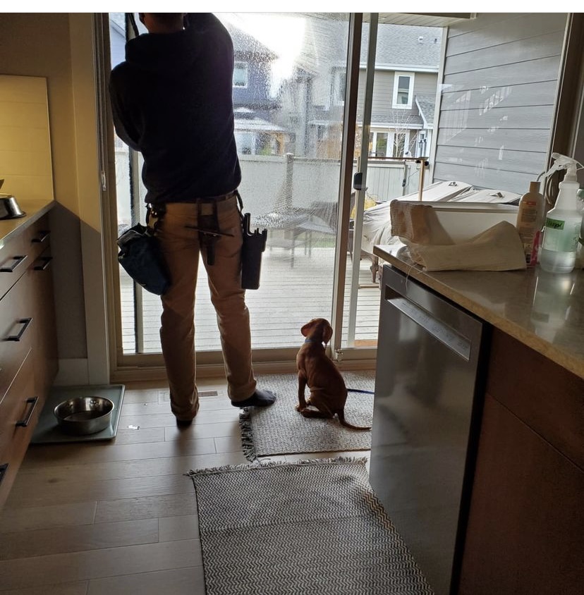 Alliance Window Washing | 2204 118 St NW, Edmonton, AB T6J 5K2, Canada | Phone: (780) 977-7087