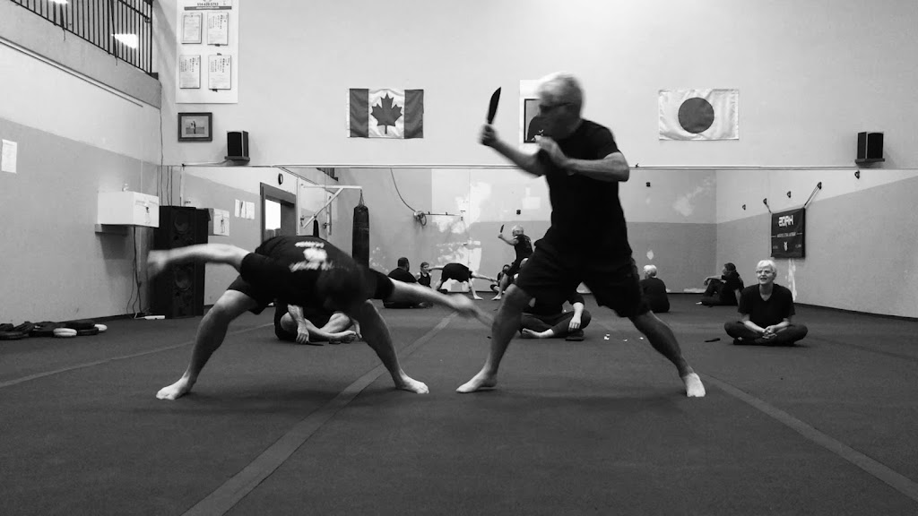 HAOS Martial Arts School | 845 #J Rue Tecumseh, Dollard-des-Ormeaux, QC H9A 2P4, Canada | Phone: (514) 692-3235