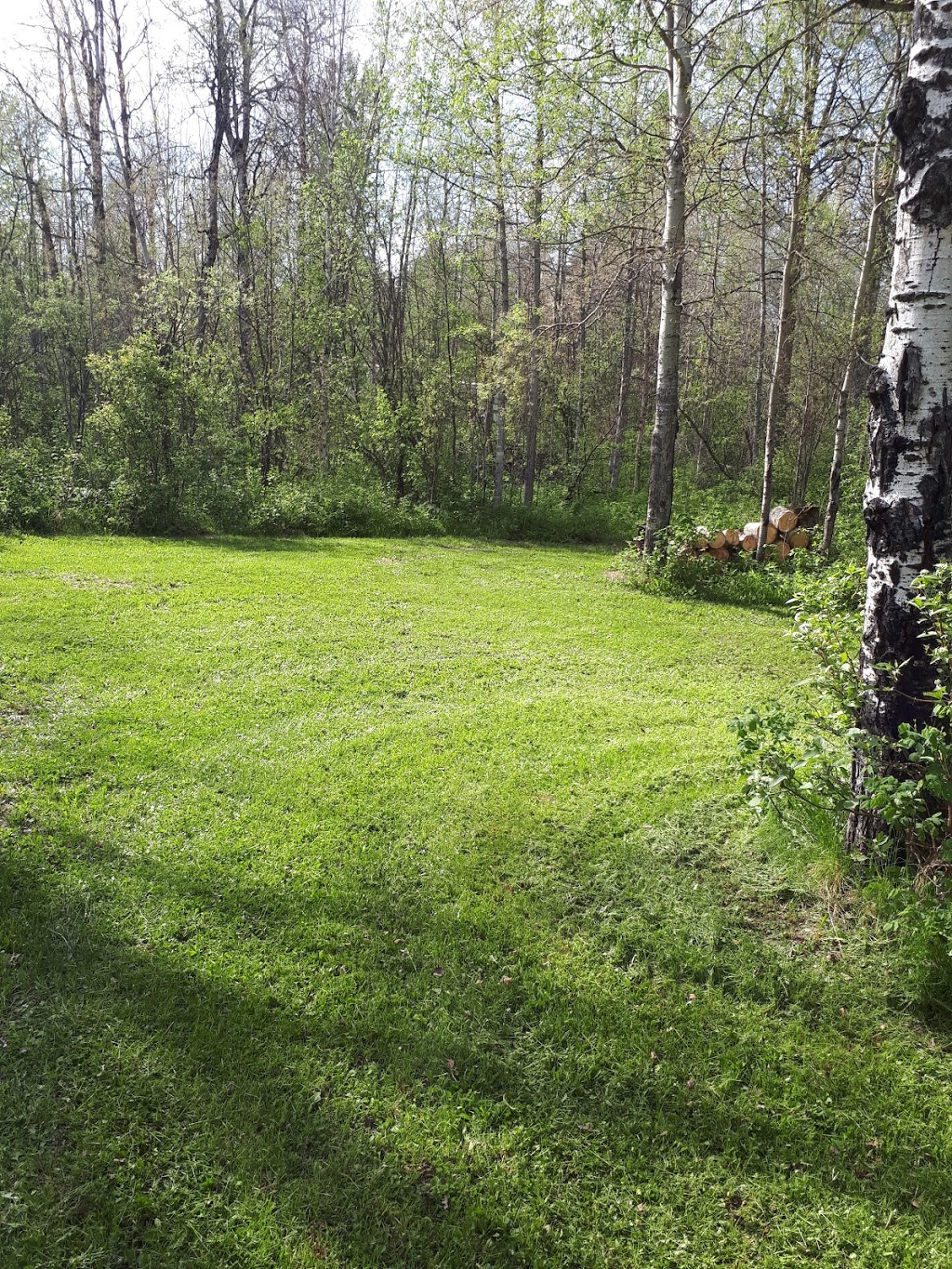 Lessard Lake Campground | Alberta T0E 0J0, Canada | Phone: (780) 284-3643